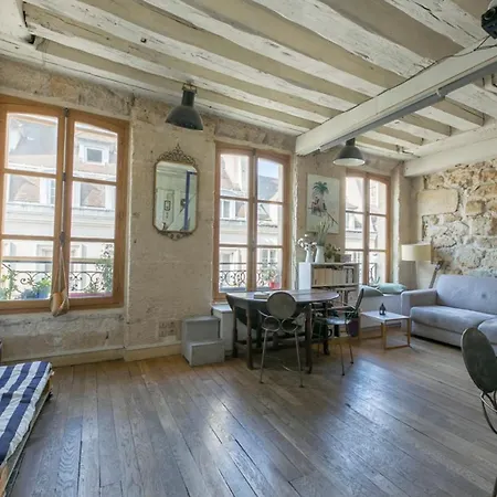 Beautiful Studio 100m From The Louvre Museum Appartamento